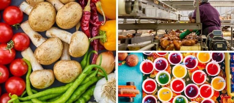 Investing in food factories as an industrial asset